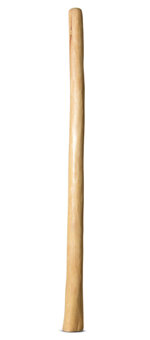 Medium Size Natural Finish Didgeridoo (TW1281)